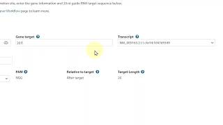 HDR Donor Designer for DNA insertion using ssDNA donor oligo [upl. by Prudie]