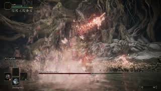 Malenia Goddess of Rot True SL1 No Hit [upl. by Ahsekram]