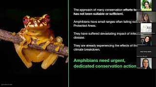 ASG webinar 2 The State of the World’s Amphibians [upl. by Eirrod]