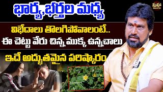 భార్యభర్తల మధ్య విభేదాలు తొలగిపోవాలంటే  Remedies For Wife amp Husband Issues  Maha Bhakthi [upl. by Aratas335]