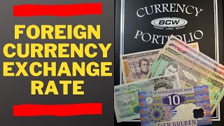 Foreign Currency Exchange Rate [upl. by Ymrej214]