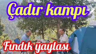 FINDIK YAYLASINDA ÇADIR KAMPIİÇMELERŞİFALI SULAR [upl. by Symer927]