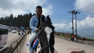 Travel illam dansarang to jhapa beldangi vlog 2024 [upl. by Notlrak]