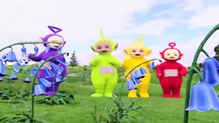 Teletubbies 1323  Bluebells  Cartoons for Kids [upl. by Macnair]