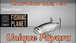 Fishing Planet  Unique Payara  MakuMaku Lake Peru  Fishing Guide [upl. by Theran]