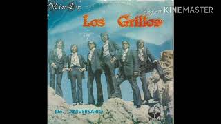 Los Grillos de Bolivia  Quisiera Dormir Junto a Ti M Atria Vers Cast G Asín 1973 [upl. by Hymen481]