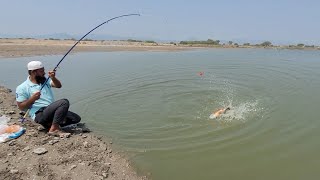 incredible Red bellied fishes fishingFisher Man Catching Piranha fishes in SINGLE hook [upl. by Ydnik]