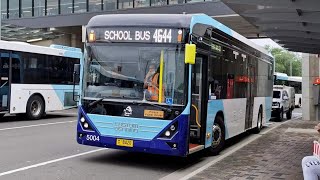 Busways Penrith 5004 MO 8420  Custom Denning Element [upl. by Gonzalez185]