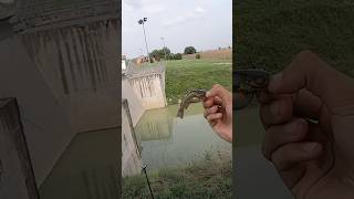 PESCE GATTO o PESCE PALLA fishing fishingvideo catfish [upl. by Elysia]