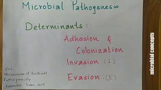 Pathogenic determinants Adhesion Colonization amp Invasion 1  Mechanisms of bacterial pathogenicity [upl. by Wilhelmina]