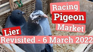 Racing Pigeon Market Lier Belgium 6 March 2022 [upl. by Adalai]