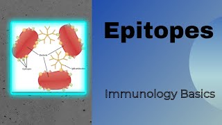 Epitopes  Antigenic determinant  Genesis Academy Epitopes [upl. by Andrews314]