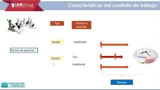 Introducción de Contrato laboral [upl. by Germann]