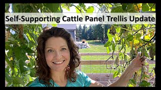 Update SelfSupporting Cattle Panel Garden Trellis [upl. by Wobniar]