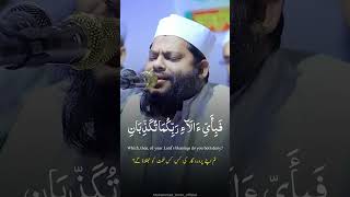 Fabi Ayyi Ala  Qari Saeed ul Islam Recitation 🌹 [upl. by Nylyahs731]