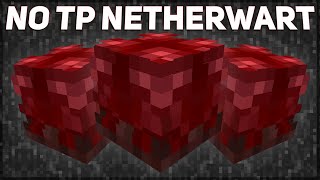 NEW NO TP Netherwart Garden Farm Design after TP Removal [upl. by Schaffel]