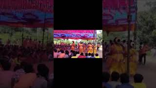 Mor Dhana re Aadivasi Nabarangapuri parava dance video  2014 part2 [upl. by Hallerson]