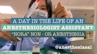 What its really like to work as an anesthesiologist assistant Day in the life vlog [upl. by Aikym67]