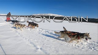 Yukon Dogsledding  Mushing a Team of Alaskan Huskies  Cabin Life E5 [upl. by Eeresed454]