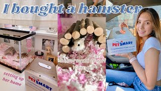 I BOUGHT A HAMSTER cage setup amp hamster haul [upl. by Crifasi]