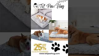 🐶 Best Dog Beds for Ultimate Comfort  Find the Perfect Bed for Your Pup 💤 [upl. by Anyar]