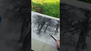 Bozzetto a carboncino enpleinair outdoordrawing sketching [upl. by Dlareme]