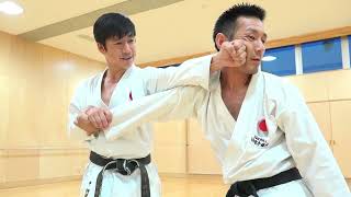 Awesome Kata Bunkai by Naka Shihan from JKA [upl. by Ilram814]