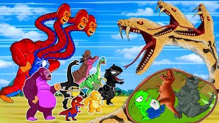 Titanoboa VS TRex Alligator  Dinosaurs fossils Episodes Indoraptor Skeletons Animation Cartoon [upl. by Aicargatla256]