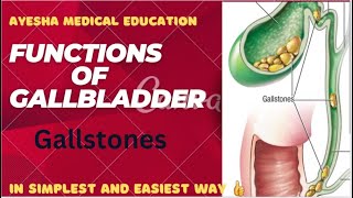 FUNCTIONS of Gallbladder Gallbladder anatomy extrahepatic biliary apparatusayeshamedicaleducation [upl. by Ramaj477]