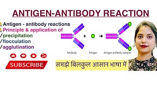 AntigenAntibody reaction in Hindi￼  Agglutination  Precipitation  Flocculation  Mycology  MLT [upl. by Belayneh]