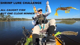 Inshore Fishing  Shrimp Lure Challenge [upl. by Rombert59]