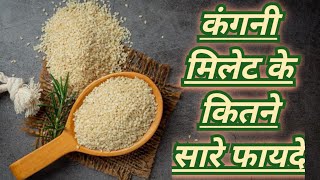 Advantages of Kangni MileBenefits of Kangni Millet raiseunderstanding [upl. by Hyps164]