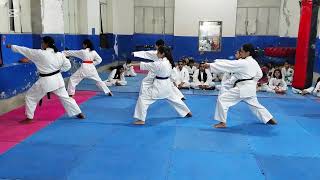 kata basic training womens [upl. by Ecirual]