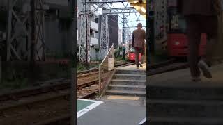 あストップ ストップ〰︎❗️路面電車 🤣🤣🤣 これは撮鉄音源で作成しています＃train 電車 jr 鉄道 ＃音源＃撮鉄 railways＃これは音源です＃Tokyo路面電車 [upl. by Pas]