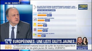 Gilets Jaunes précisions sur notre sondage pour les européennes [upl. by Jovita]