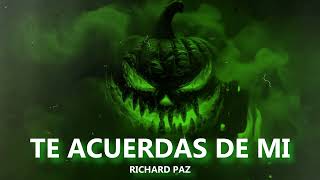 TE ACUERDAS DE MI  PlanB  DJ Richard paz remix [upl. by Rahcir771]