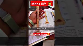 mbbs life 🧑‍⚕️ practical Vs class 😌 medical aiims mbbs collegelife motivation shorts minivlog [upl. by Weider]