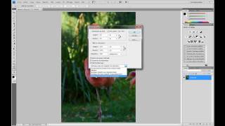 Réduire la taille dune photo pour lenvoyer sur le web  Adobe Photoshop [upl. by Nerrol]