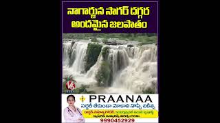 నాగార్జున సాగర్ దగ్గర అందమైన జలపాతం  Nagarjuna Sagar  V6News [upl. by Curtice25]