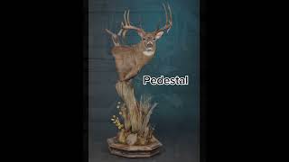 Which mount is your favorite hunting deerhunting fishing outdoors [upl. by Cramer556]