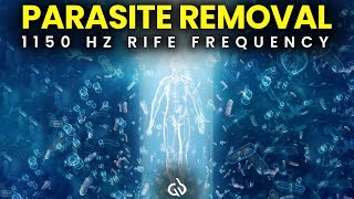 Parasite Removal Frequency 1150 Hz Rife Frequency to Cleanse Parasites [upl. by Ahsikad]