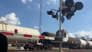 Train Lights Spring School Road Late October 2024 [upl. by Herculie]