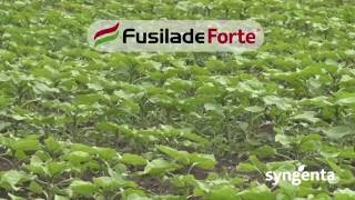 Syngenta herbicidi – Fusilade Forte® [upl. by Artcele]