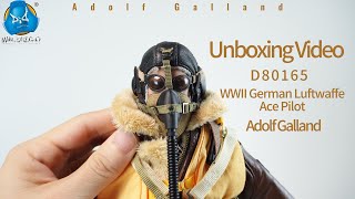 Unboxing video of D80165 WWII German Luftwaffe Ace Pilot Adolf Galland [upl. by Husha]