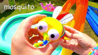 Learn Bugs Insects Names amp Facts for Babies Toddlers Kids  Paddling Pool Waterslide [upl. by Sanoy269]