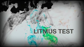 Litmus Test Full Video [upl. by Roldan]