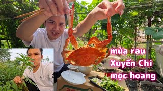 Rau Xuyến Chi Ở đâu cũng thấy có đặc biệt là vùng đất hoang Rau này rất ngon và tốt cho sức khỏe [upl. by Dj]