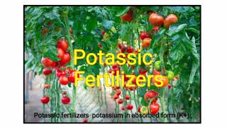 Potassic Fertilizers [upl. by Courtund174]