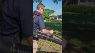 Best Backpack Leaf Blowers for Tidy Outdoor Spaces 2023 [upl. by Evol409]