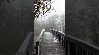 Dinton pastures country park  1°C  places to visit in the Uk  flowtrail park uk [upl. by Riana]